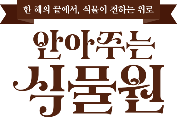한 해의 끝에서, 식물이 전하는 위로 안아주는 식물원
