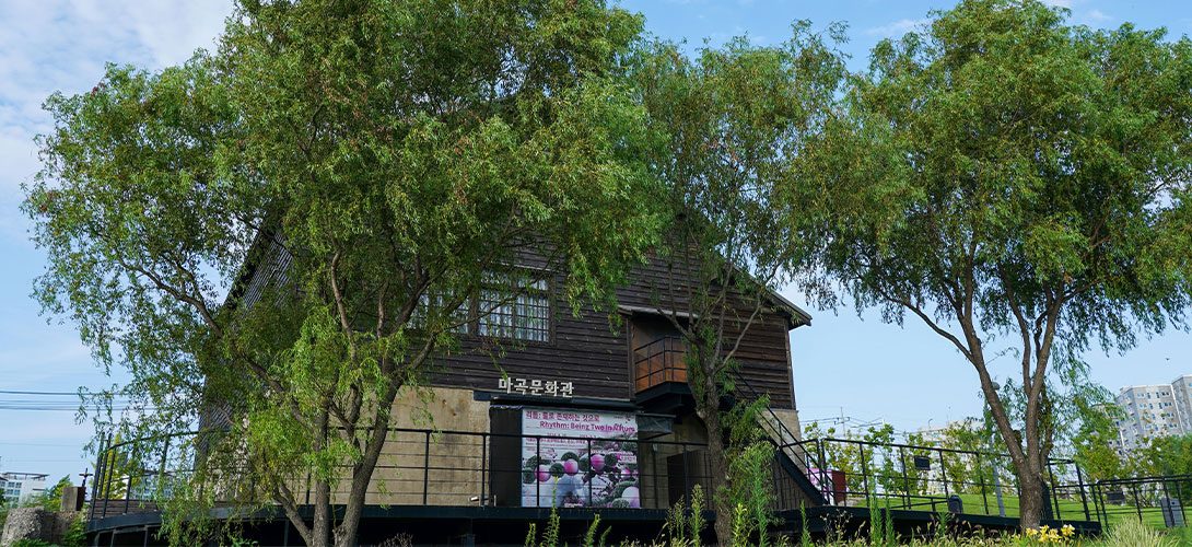 마곡문화관 이미지06