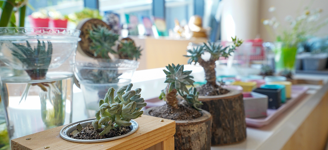 어린이정원학교 이미지03