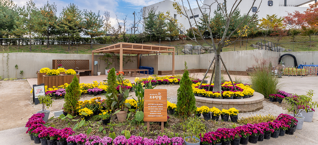 어린이정원학교 이미지07