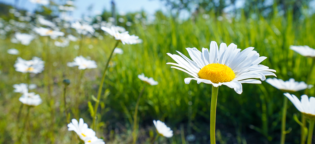 주제정원 이미지02