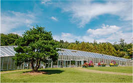 KB숲교육센터(전시온실)