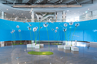 <봄 봄 봄> 관련 이미지04