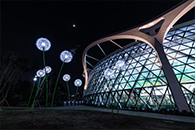 <봄 봄 봄> 관련 이미지05