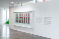 꽃 꽃 꽃 꽃 관련 이미지06