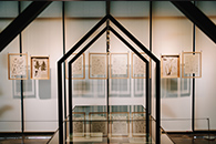 식물학자 씨앗, 발견하다 이미지01