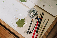 식물학자 씨앗, 발견하다 이미지04