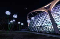 민들레 홀씨되어 이미지01