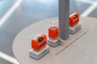 보타닉 메이즈: 식물은 살아있다 이미지10