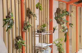 정원상담소 이미지 02