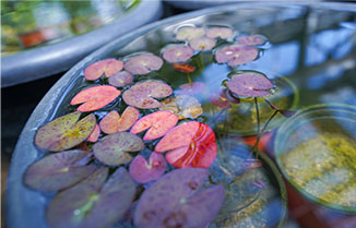 재배증식온실 이미지 02