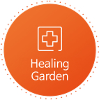 Healing Garden