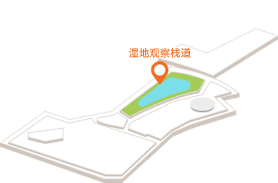 湿地观察栈道
