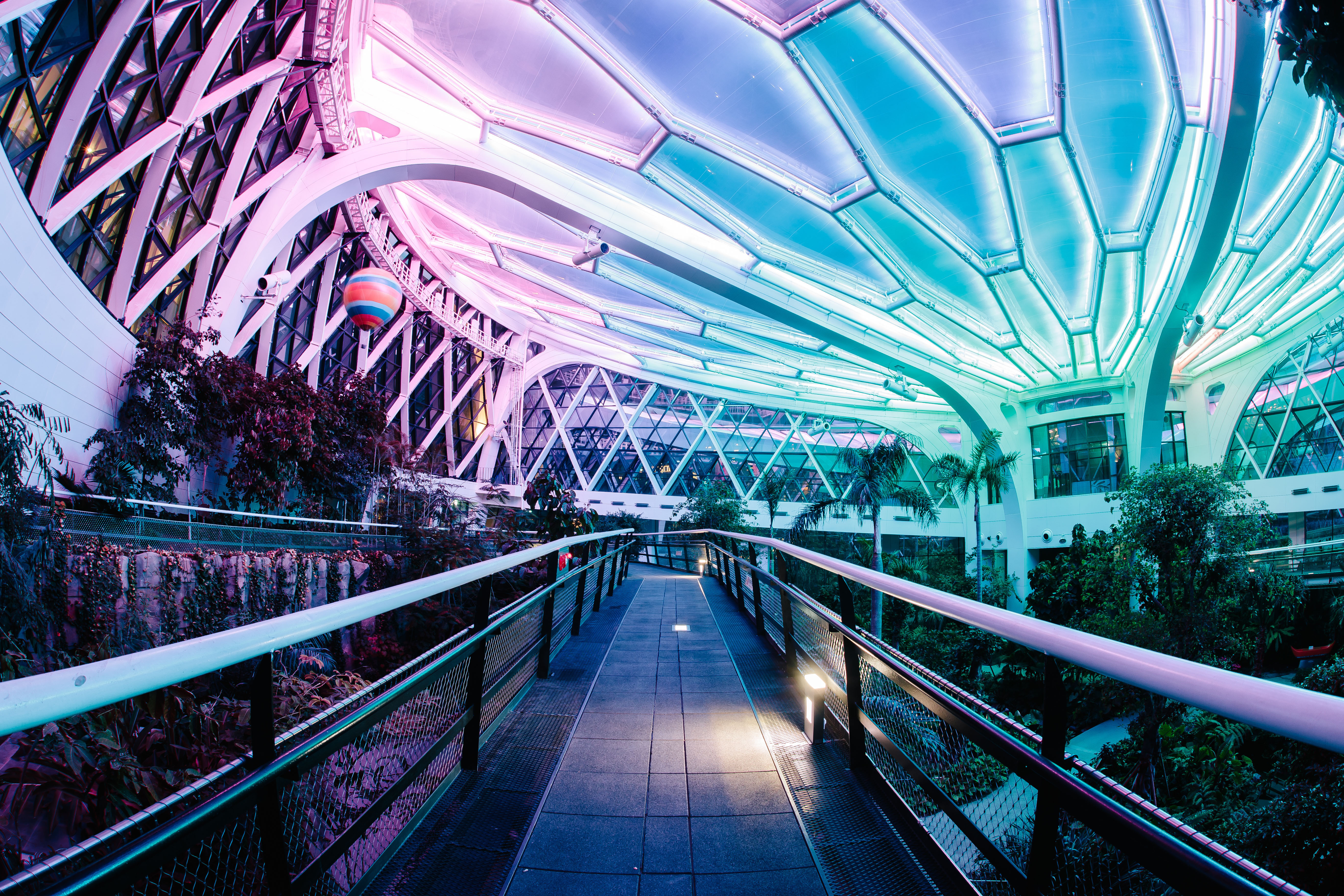 %EC%84%9C%EC%9A%B8%EC%8B%9D%EB%AC%BC%EC%9B%90%20%EC%98%A8%EC%8B%A4%20%EC%95%BC%EA%B0%84%20%ED%8A%B9%EB%B3%84%EA%B4%80%EB%9E%8C%20(6).jpg 온실 야경2