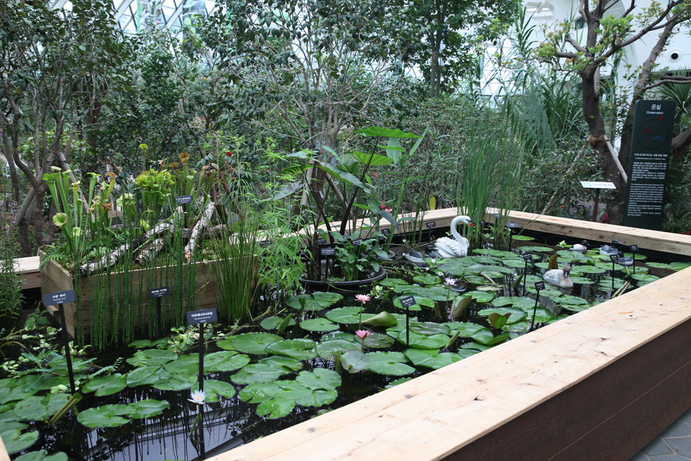 %EC%82%AC%EC%A7%844_%EC%A0%84%EC%8B%9C%EC%98%A8%EC%8B%A4%20%EC%88%98%EC%A1%B0_%EC%96%91%ED%98%95%ED%98%B8.jpg 전시온실 수조 사진