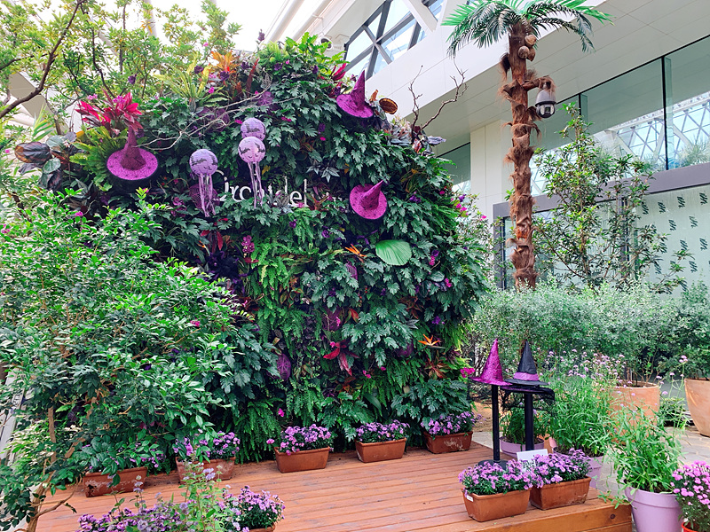 KakaoTalk_20190927_121714399_03.jpg 가을 전시3