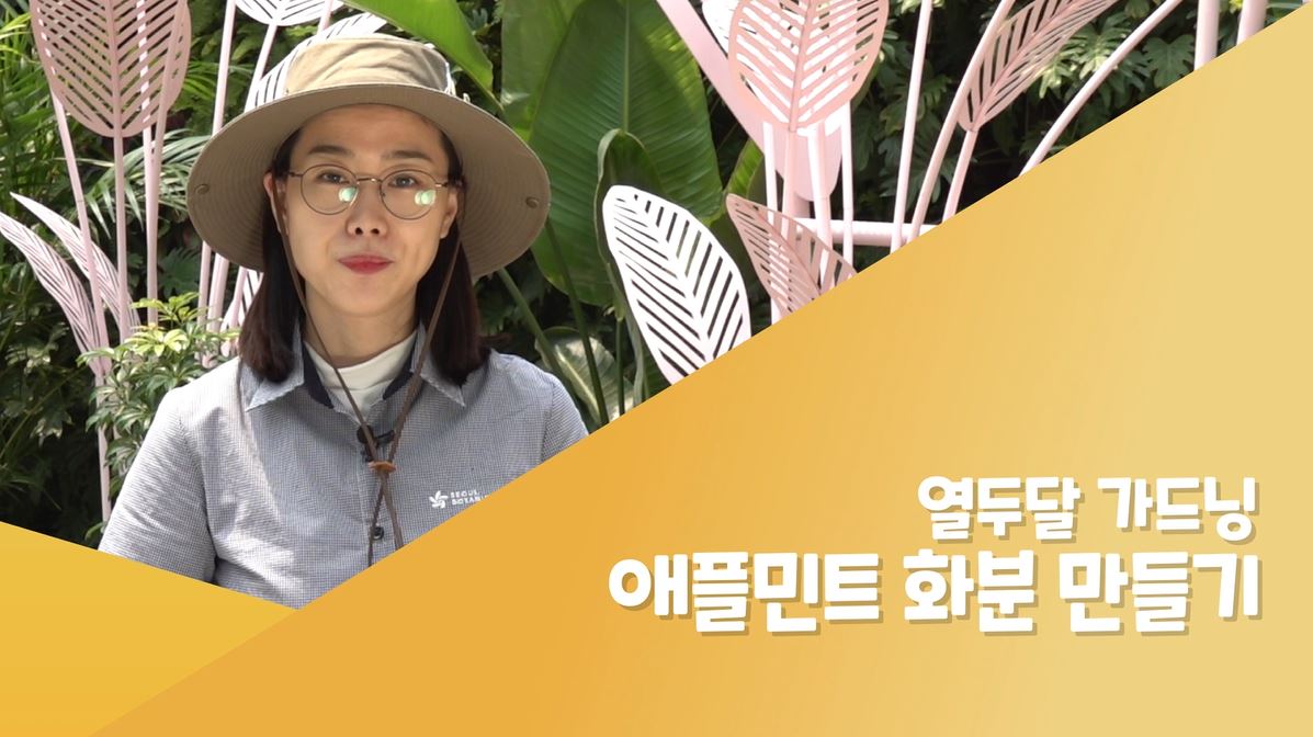 %EC%95%A0%ED%94%8C%EB%AF%BC%ED%8A%B8.JPG 애플민트 교육 영상