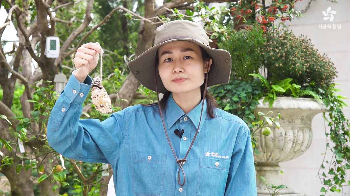 어린이 아틀리에; 겨울새 먹이 만들기