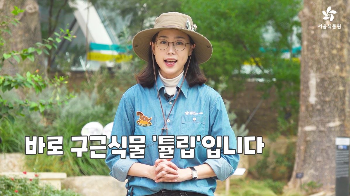 열두달 가드닝; 두근두근 튤립 구근 화분 만들기