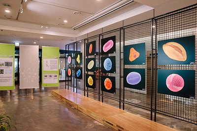 씨앗 아름다움5