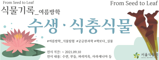 수생식충식물전