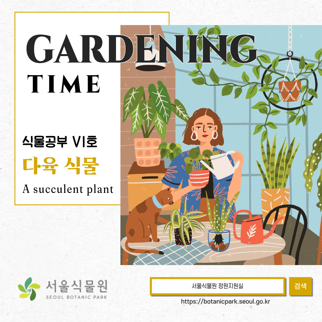 GARDENING TIME 식물공부 6호 다육식물 A succulent plant
서울식물원 정원지원실 검색 https://botanicpark.seoul.go.kr