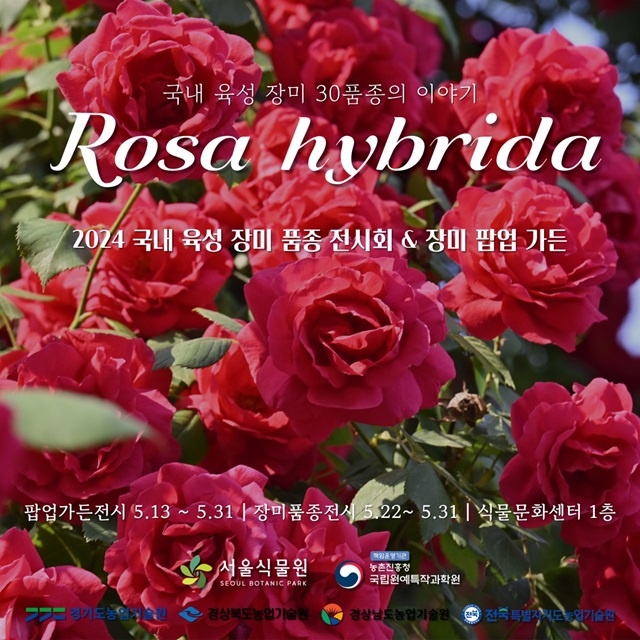 국내 육성 장미 30품종의 이야기
Rosa hybrida
2024 국내 육성 장미 품종 전시회 & 장미 팝업 가든
팝업가든전시 5.13.~5.31 , 장미품종전시 5.22.~5.31, 식물문화센터 1층
서울식물원, 농촌진흥청 국립원예특작과학원, 경기도농업기술원, 경상북도농업기술원, 경상남도농업기술원, 전북특별자치도농업기술원