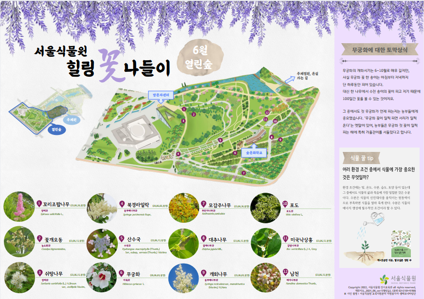 6월 힐링꽃나들이1