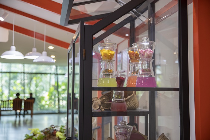 정원지원실_식물전시3