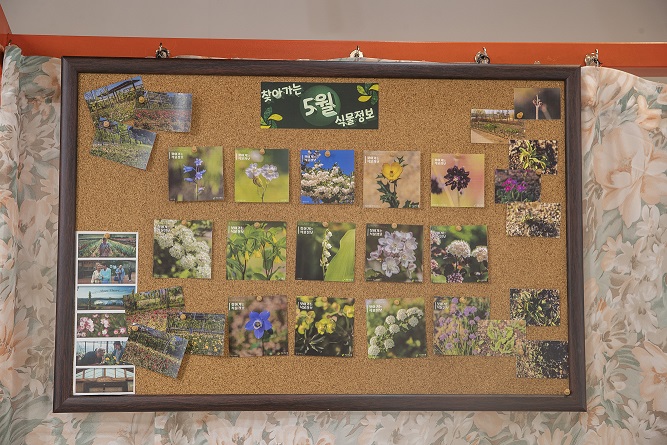 정원지원실_식물전시10