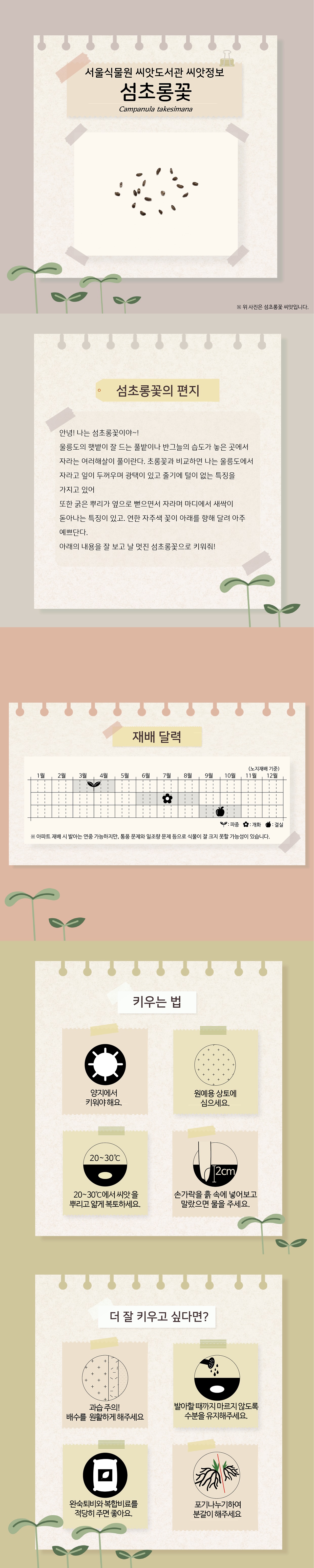 서울식물원 씨앗도서관 씨앗정보
섬초롱꽃
위 사진은 섬초롱꽃 씨앗입니다.

섬초롱꽃의 편지
안녕! 나는 섬초롱꽃이야~!
울릉도의 햇볕이 잘 드는 풀밭이나 반그늘의 습도가 높은 곳에서 자라는 여러해살이 풀이란다. 초롱꽃과 비교하면 나는 울릉도에서 자라고 잎이 두꺼우며 광택이 있고 줄기에 털이 없는 특징을 가지고 있어.
또한 굵은 뿌리가 옆으로 뻗으면서 자라며 마디에서 새싹이 돋아나는 특징이 있고, 연한 자주색 꽃이 아래를 향해 달려 아주 예쁘단다. 
아래의 내용을 잘 보고 날 멋진 섬초롱꽃으로 키워줘!

재배달력(노지재배 기준)
파종 : 3월~4월, 개화 : 6월~8월, 결실 : 9월~10월
아파트 재배 시 발아는 연중 가능하지만, 통풍 문제와 일조량 문제 등으로 식물이 잘 크지 못할 가능성이 있습니다.

키우는 법
양지에서 키워야 해요.
원예용 상토에 심으세요.
20~30도에서 씨앗을 뿌리고 얇게 복토하세요.
손가락을 흙 속에 넣어보고 말랐으면 물을 주세요.

더 잘 키우고 싶다면?
과습주의! 배수를 원활하게 해주세요.
발아할 때까지 마르지 않도록 수분을 유지해주세요.
완숙퇴비와 복합비료를 적당히 주면 좋아요.
포기 나누기하여 분갈이 해주세요.