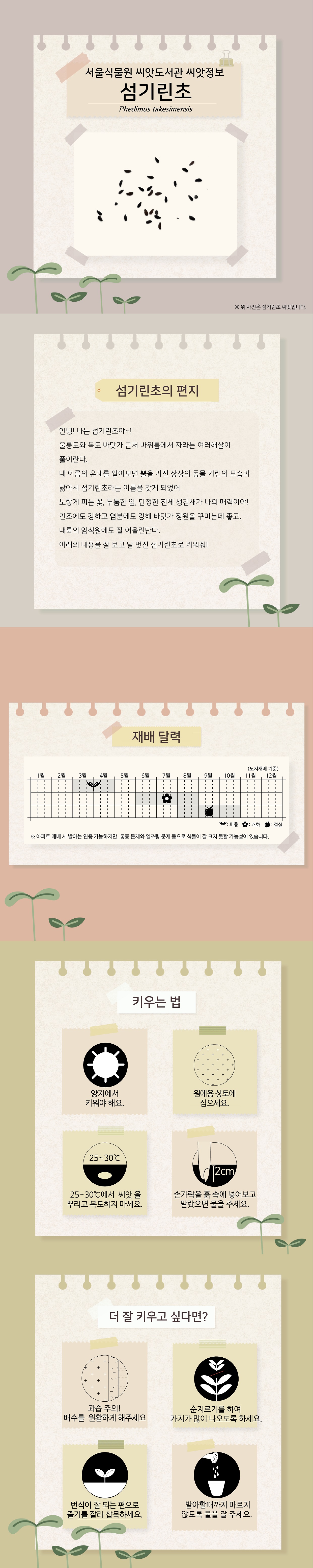 서울식물원 씨앗도서관 씨앗정보
섬기린초
위 사진은 섬기린초 씨앗입니다.

섬기린초의 편지
안녕! 나는 섬기린초야~!
울릉도와 독도 바닷가 근처 바위틈에서 자라는 여러해살이 풀이란다.
내 이름의 유래를 알아보면 뿔을 가진 상상의 동물 기린의 모습과 닮아서 섬기린초라는 이름을 갖게 되었어.
노랗게 피는 꽃, 두툼한 잎, 단정한 전체 생김새가 나의 매력이야!
건조에도 강하고 염분에도 강해 바닷가 정원을 꾸미는데 좋고, 내륙의 암석원에도 잘 어울린단다.
아래의 내용을 잘 보고 날 멋진 섬기린초로 키워줘!

제베딜략(노지재배 기준)
파종 : 3월~4월, 개화 : 6월~8월, 결실 : 8월~10월
아파트 재배 시 발아는 연중 가능하지만, 통풍 문제와 일조량 문제 등으로 식물이 잘 크지 못할 가능성이 있습니다.

키우는 법
양지에서 키워야 해요.
원예용 상토에 심으세요.
25~30도에서 씨앗을 뿌리고 복토하지 마세요.
손가락을 훍 속에 넣어보고 말랐으면 물을 주세요.

더 잘 키우고 싶다면?
과습 주의! 배수를 원활하게 해주세요.
순지르기를 하여 가지가 많이 나오도록 하세요.
번식이 잘 되는 편으로 줄기를 잘라 삽목하세요.
발아할때까지 마르지 않도록 물을 잘 주세요.