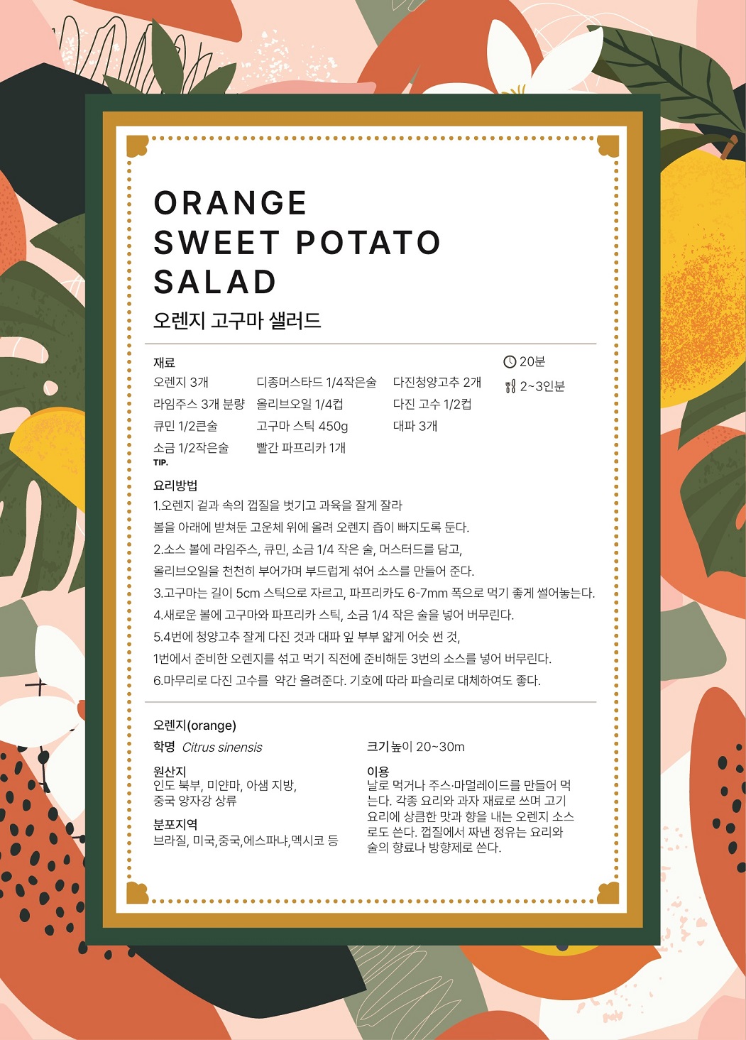 ORANGE SWEET POTATO SALAD 오렌지 고구마 샐러드 요리시간 : 20분 분량 : 2~3인분 재료 : 오렌지 3개, 디종머스타드 1/4작은술, 다진청양고추 2개, 라임주스 3개 분량, 올리브오일 1/4컵, 다진고수 1/2컵, 큐민 1/2큰술, 고구마 스틱 450g, 대파 3개, 소금 1/2작은술, 빨간 파프리카 1개 요리방법 1.	오렌지 겉과 속의 껍질을 벗기고 과육을 잘게 잘라 볼을 아래에 받쳐둔 고운체 위에 올려 오렌지 즙이 빠지도록 둔다. 2.	소스 볼에 라임주스, 큐민, 소금 1/4작은 술, 머스터드를 담고, 올리브오일을 천천히 부어가며 부드럽게 섞어 소스를 만들어 준다.  3.	고구마는 길이 5cm 스틱으로 자르고, 파프리카도 6-7mm폭으로 먹기 좋게 썰어놓는다. 4.	새로운 볼에 고구마와 파프리카 스틱, 소금 1/4 작은 술을 넣어 버무린다. 5.	4번에 청양고추 잘게 다진 것과 대파 잎 부부 얇게 어슷 썬 것, 1번에서 준비한 오렌지를 섞고 먹기 직전에 준비해둔 3번의 소스를 넣어 버무린다. 6.	마무리로 다진 고수를 약간 올려준다. 기호에 따라 파슬리로 대체하여도 좋다. 오렌지(orange) 학명 Citrus sinensis 원산지 인도 북부, 미얀마, 아샘 지방, 중국 양자강 상류 분포지역 브라질, 미국, 중국, 에스파냐, 멕시코 등 크기 높이 20~30m 이용 날로 먹거나 주스, 마멀레이드를 만들어 먹는다. 각종 요리와 과자 재료로 쓰며 고기 요리에 상큼한 맛과 향을 내는 오렌지 소스로도 쓴다. 껍질에서 짜낸 정유는 요리와 술의 향료나 방향제로 쓴다.