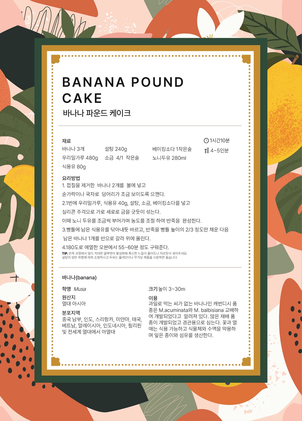BANANA POUND CAKE 바나나 파운드 케이크 요리시간 : 1시간10분 분량 : 4~5인분 재료 : 바나나 3개, 설탕 240g, 베이킹소다 1작은술, 우리밀가루 480g, 소금 1/4 작은술, 노니두유 280ml, 식용유 80g 요리방법 1.	껍질을 제거한 바나나 2개를 볼에 넣고 숟가락이나 국자로 덩어리가 조금 보이도록 으깬다. 2.	1번에 우리밀가루, 식용유 40g, 설탕, 소금, 베이킹소다를 넣고 실리콘 주걱으로 가로 세로로 금을 긋듯이 섞는다. 이때 노니 두유를 조금씩 부어가며 농도를 조절 하여 반죽을 완성한다. 3.	빵틀에 남은 식용유를 닦아내듯 바르고, 반죽을 빵틀 높이의 2/3 정도만 채운 다음 남은 바나나 1개를 반으로 갈라 위에 올린다. 4.	180도로 예열한 오븐에서 55~60분 정도 구워준다. TIP. 반죽 과정에서 많이 치대면 글루텐이 활성화돼 폭신한 느낌이 줄어드니 자르듯이 섞어주세요. 설탕의 양은 취향에 따라 조절하시고 두유는 플레인이나 무가당 제품을 사용하면 좋습니다.  바나나(banana) 학명 Musa 원산지 열대 아시아 분포지역 중국 남부, 인도, 스리랑카 미얀마, 태국, 베트남, 말레이시아, 인도네시아, 필리핀 및 전세계 열대에서 아열대 크기 높이 3~30m 이용 과일로 먹는 씨가 없는 바나나인 캐번디시 품종은 M.acuminata와 M.balbisiana교배하여 개발되었다고 알려져 있다. 많은 재배 품종이 개발되었고 경관용으로 심는다. 꽃과 열매는 식용 가능하고 식물체와 수액을 약용하며 잎은 종이와 섬유를 생산한다.
