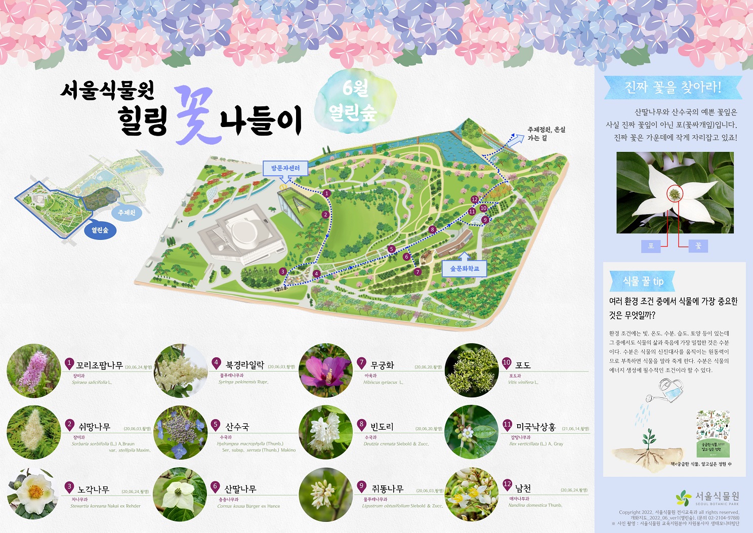 서울식물원 힐링 꽃 나들이 6월 열린숲 1.	꼬리조팝나무 2.	쉬땅나무 3.	노각나무 4.	북경라일락 5.	산수국 6.	산딸나무 7.	무궁화 8.	빈도리 9.	쥐똥나무 10.	포도 11.	미국낙상홍 12.	남천 진짜 꽃을 찾아라 :  산딸나무와 산수국의 예쁜 꽃잎은 사실 진짜 꽃잎이 아닌 포(꽃싸개잎)입니다. 진짜 꽃은 가운데에 작게 자리잡고 있죠. 포, 꽃 설명사진 식물 꿀 tip :  여러 환경 조건 중에서 식물에 가장 중요한 것은 무엇일까? 환경 조건에는 빛, 온도, 수분, 습도, 토양 등이 있는데 그 중에서도 식물의 삶과 죽음에 가장 밀접한 것은 수분이다. 수분은 식물의 신진대사를 움직이는 원동력이므로 부족하면 식물을 말라 죽게 한다. 수분은 식물의 에너지 생성에 필수적인 조건이라 할 수 있다. 출처 : 책<궁금한 식물, 알고싶은 정원>중