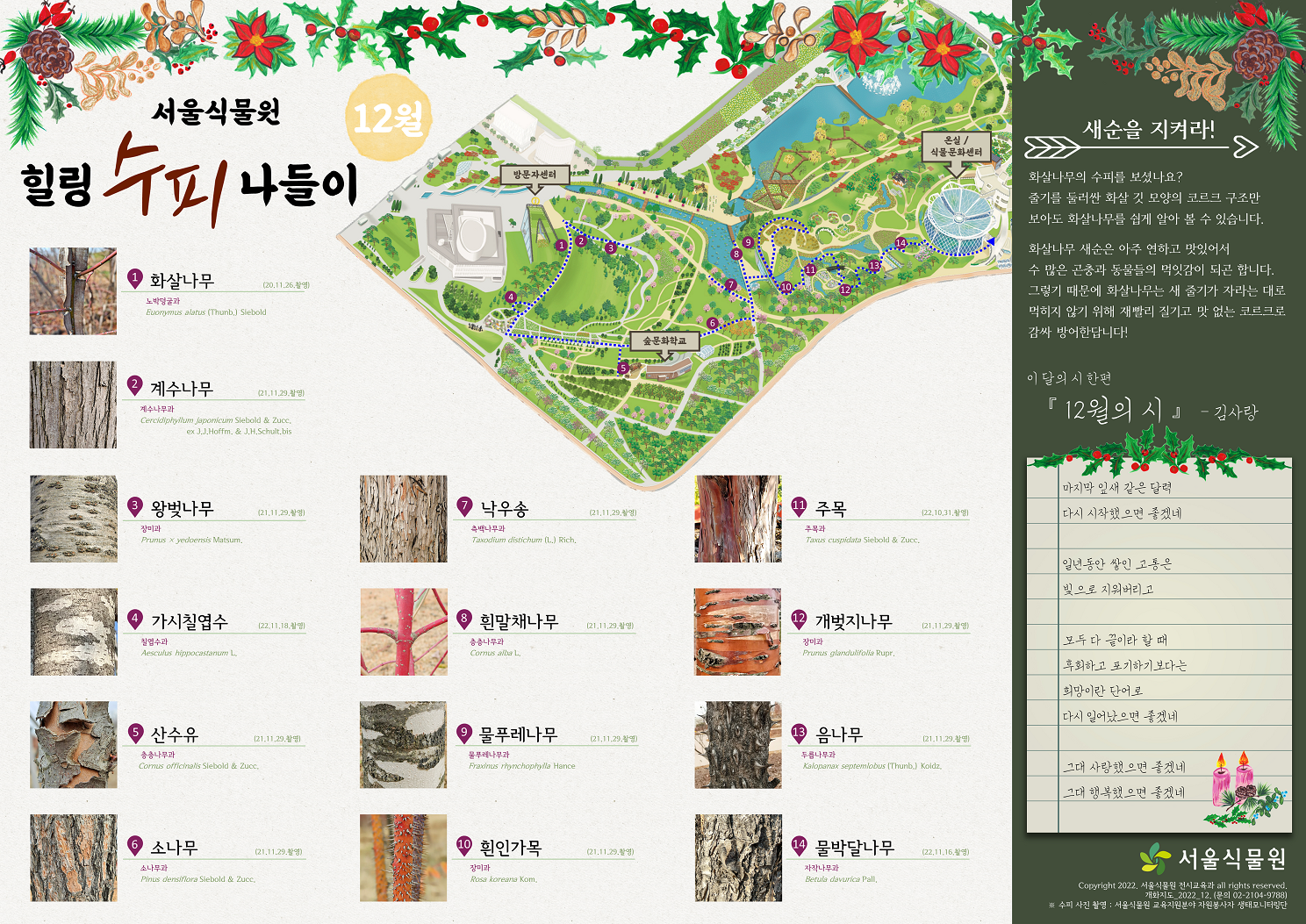 서울식물원 힐링 수피 나들이 12월 1.	화살나무, 2. 계수나무, 3. 왕벚나무, 4. 가시칠엽수, 5. 산수유, 6. 소나무, 7. 낙우송, 8. 흰말채나무, 9. 물푸레나무, 10. 흰인가목, 11. 주목, 12. 개벚지나무, 13. 음나무, 14. 물박달나무 새순을 지켜라. 화살나무의 수피를 보셨나요? 줄기를 둘러싼 화살 깃 모양의 코르크 구조만 보아도 화살나무를 쉽게 알아볼 수 있습니다. 화살나무 새순은 아주 연하고 맛있어서 수많은 곤충과 동물들의 먹잇감이 되곤 합니다. 그렇기 때문에 화살나무는 새 줄기가 자라는 대로 먹히지 않기 위해 재빨리 질기고 맛없는 코르크로 감싸 방어한답니다.   이 달의 시 한편 12월의 시 김사랑 마지막 잎새 같은 달력 다시 시작했으면 좋겠네 일년동안 쌓인 고통은 빛으로 지워버리고 모두 다 끝이라 할 때 후회하고 포기하기보다는 희망이란 단어로 다시 일어났으면 좋겠네 그대 사랑했으면 좋겠네 그대 행복했으면 좋겠네