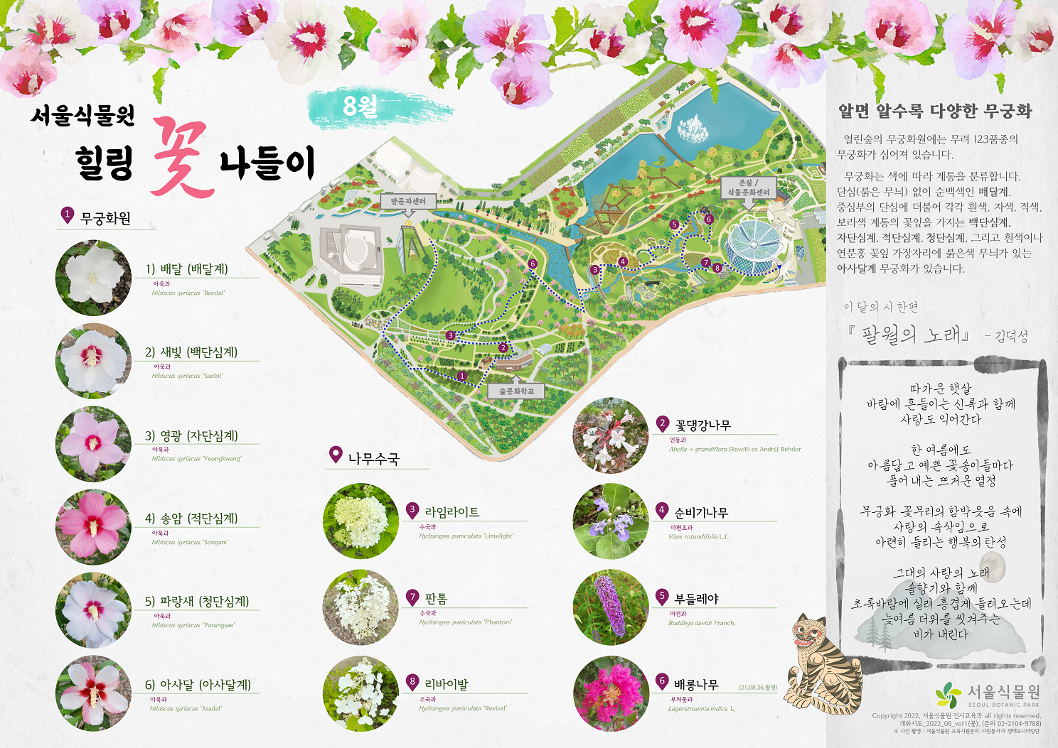 서울식물원 힐링 꽃 나들이 8월 1. 무궁화원 1) 배달(배달계) 2)새빛(백단심계) 3)영광(자단심계) 4)송암(적단심계) 5)파랑새(청단심계) 6)아사달(아사달계) 2.꽃댕강나무 3.라임라이트 4.순비기나무 5.	부들레야 6.	배롱나무 7.	판톰 8.리바이발 알면 알수록 다양한 무궁화 : 열린숲의 무궁화원에는 무려 123품종의 무궁화가 심어져 있습니다. 무궁화는 색에 따라 계통을 분류합니다. 단심(붉은 무늬) 없이 순백색인 배달계, 중심부의 단심에 더불어 각각 흰색, 자색, 적색, 보라색 계통의 꽃잎을 가지는 백단심계, 자단심계, 적단심계, 청단심계, 그리고 흰색이나 연분홍 꽃잎 가장자리에 붉은색 무늬가 있는 아사달계 무궁화가 있습니다.