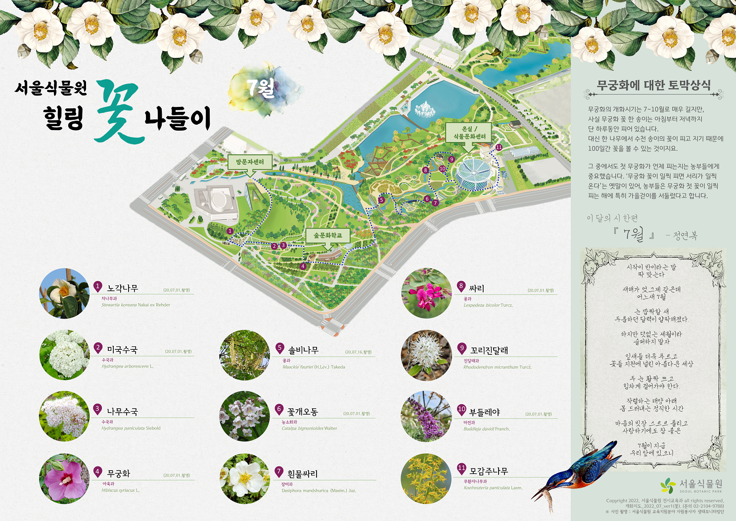 서울식물원 힐링 꽃 나들이 7월 1.노각나무 2.	미국수국 3.	나무수국 4.	무궁화 5.	솔비나무 6.	꽃개오동 7.	흰물싸리 8.	싸리 9.	꼬리진달래 10.	부들레야 11.	모감주나무 무궁화에 대한 토막상식: 무궁화의 개화시기는 7~10월로 매우 길지만, 사실 무궁화 꽃 한 송이는 하침부터 저녁까지 단 하루 동안 만 피어 있습니다. 대신 한 나무에서 수천 송이의 꽃이 피고 지기에 100일간 꽃을 볼 수 있는 것이지요. 그 중에서도 첫 무궁화가 언제 피는지는 농부들에게 중요했습니다. ’무궁화 꽃이 일찍 피면 서리가 일찍 온다’는 옛말이 있어, 농부들은 무궁화 첫 꽃이 일찍 피는 해에 특히 가을걷이를 서둘렀다고 합니다. 이 달의 시 한편 7월 정연복 시작이 반이라는 말 딱 맞는다 새해가 엊그제 같은데 어느새 7월 눈깜짝할 새 두툼하던 달력이 얄팍해졌다. 하지만 덧없는 세월이라 슬퍼하지 말자 잎새들 더욱 푸르고 꽃들 지천에 널린 아름다운 세상 두 눈 활짝 뜨고 힘차게 걸어가야 한다. 작렬하는 태양 아래 몸 드러내는 정직한 시간 마음의 빗장 스르르 풀리고 사랑하기에도 참 좋은 7월이 지금 우리 앞에 있으니