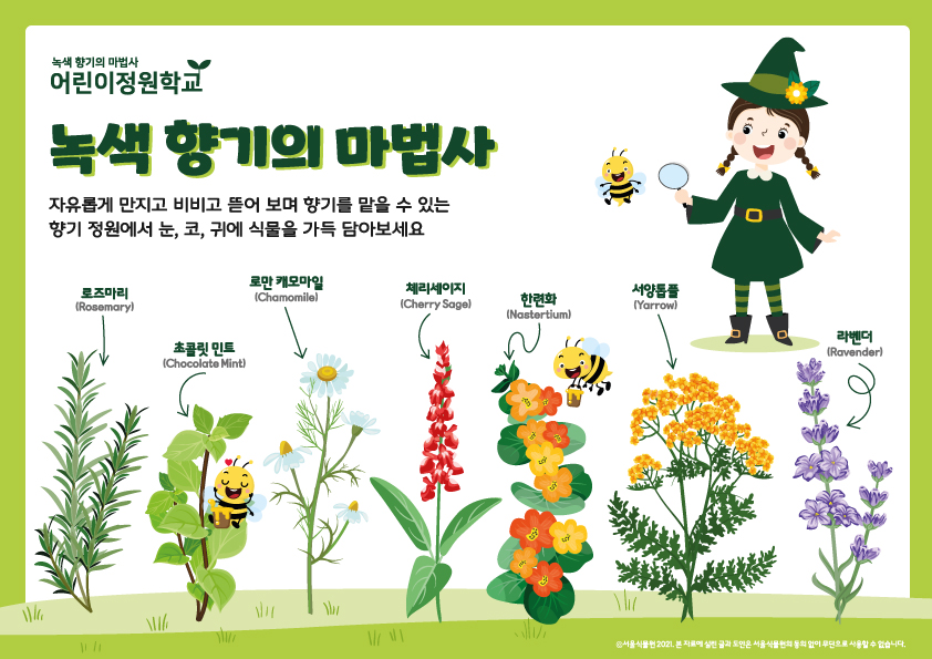 녹색 향기의 마법사 어린이정원학교 녹색 향기의 마법사 자유롭게 만지고 비비고 뜯어보며 향기를 맡을 수 있는 향기 정원에서 눈, 코, 귀에 식물을 가득 담아보세요 로즈마리 초콜릿민트 로만캐모마일 체리세이지 한련화 서양톱풀 라벤더