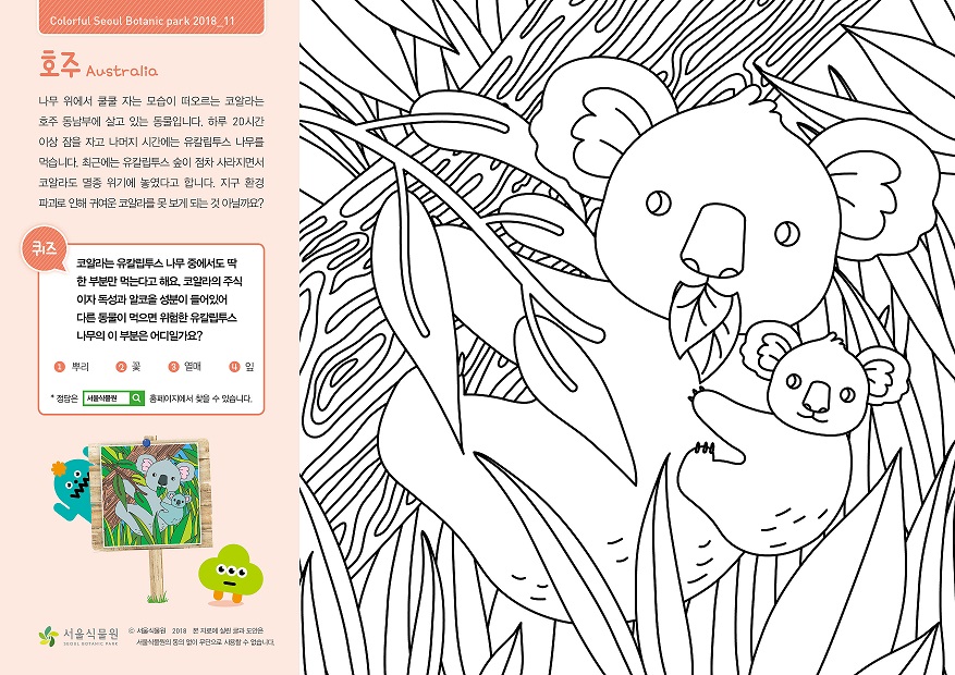 나무 위에서 쿨쿨 자는 모습이 떠오르는 코알라는 호주 동남부에 살고 있는 동물입니다. 하루 20시간 이상 잠을 자고 나머지 시간에는 유칼립투스 나무를 먹습니다. 최근에는 유칼립투스 숲이 점차 사라지면서 코알라도 멸종 위기에 놓였다고 합니다. 지구 환경파괴로 인해 귀여운 코알라를 못 보게 되는 것 아닐까요?  퀴즈 : 코알라는 유칼립투스 나무 중에서도 딱 한 부분만 먹는다고 해요. 코알라의 주식이자 독성과 알코올 성분이 들어있어 다른 동물이 먹으면 위험한 유칼립투스 나무의 이 부분은 어디일까요? 1. 뿌리 2. 꽃 3. 열매 4. 잎  정답은 서울식물원 홈페이지에서 찾을 수 있습니다.  정답 4. 잎