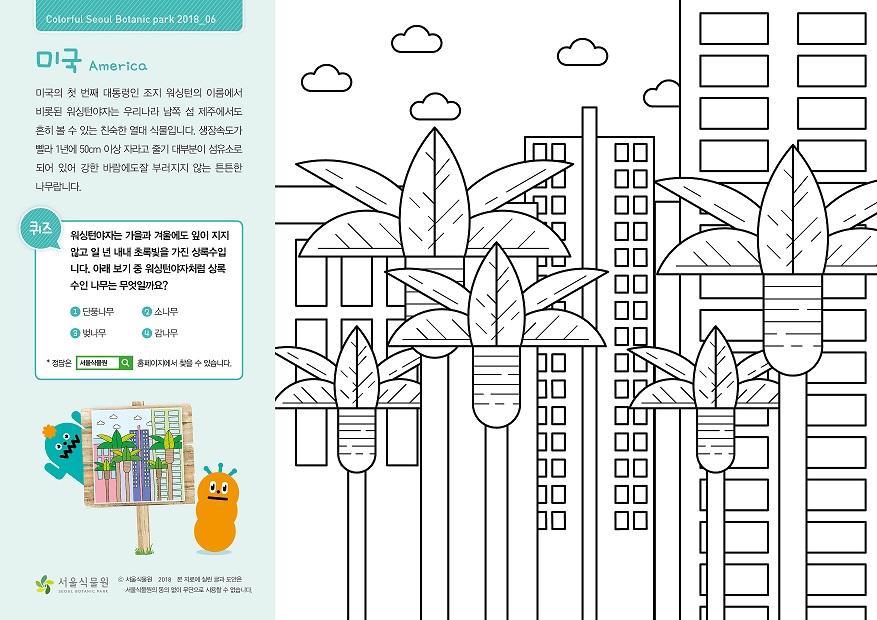 미국 미국의 첫 번째 대통령인 조지 워싱턴의 이름에서 비롯된 워싱턴야자는 우리나라 남쪽 섬 제주에서도 흔히 볼 수 있는 친숙한 열매 식물입니다. 생장속도가 빨라 1년에 50cm 이상 자라고 줄기 대부분이 섬유소로 되어 있어 강한 바람에도 잘 부러지지 않는 튼튼한 나무랍니다.  퀴즈 : 워싱턴야자는 가을과 겨울에도 잎이 지지 않고 일 년 내내 초록빛을 가진 상록수입니다. 아래 보기 중 워싱턴야자처럼 상록수인 나무는 무엇일까요? 1. 단풍나무 2. 소나무 3. 벚나무 4. 감나무  정답은 서울식물원 홈페이지에서 찾을 수 있습니다.  정답 2.소나무