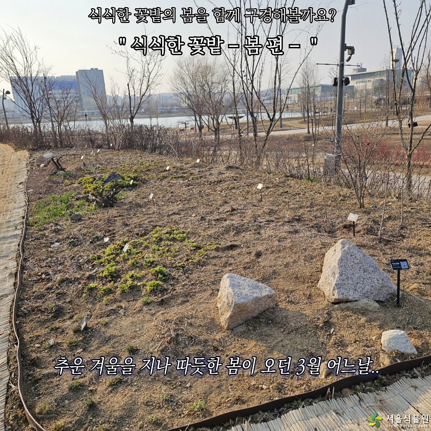 식식한 꽃밭의 봄을 함께 구경해볼까요? “식식한 꽃밭 -봄 편-“ 추운 겨울을 지나 따듯한 봄이 오던 3월 어느날..